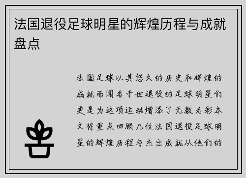 法国退役足球明星的辉煌历程与成就盘点